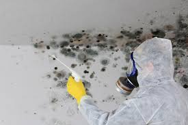 Why You Should Choose Our Mold Remediation Services in Hanover, PA